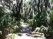 Gemini Springs - Apr 2011